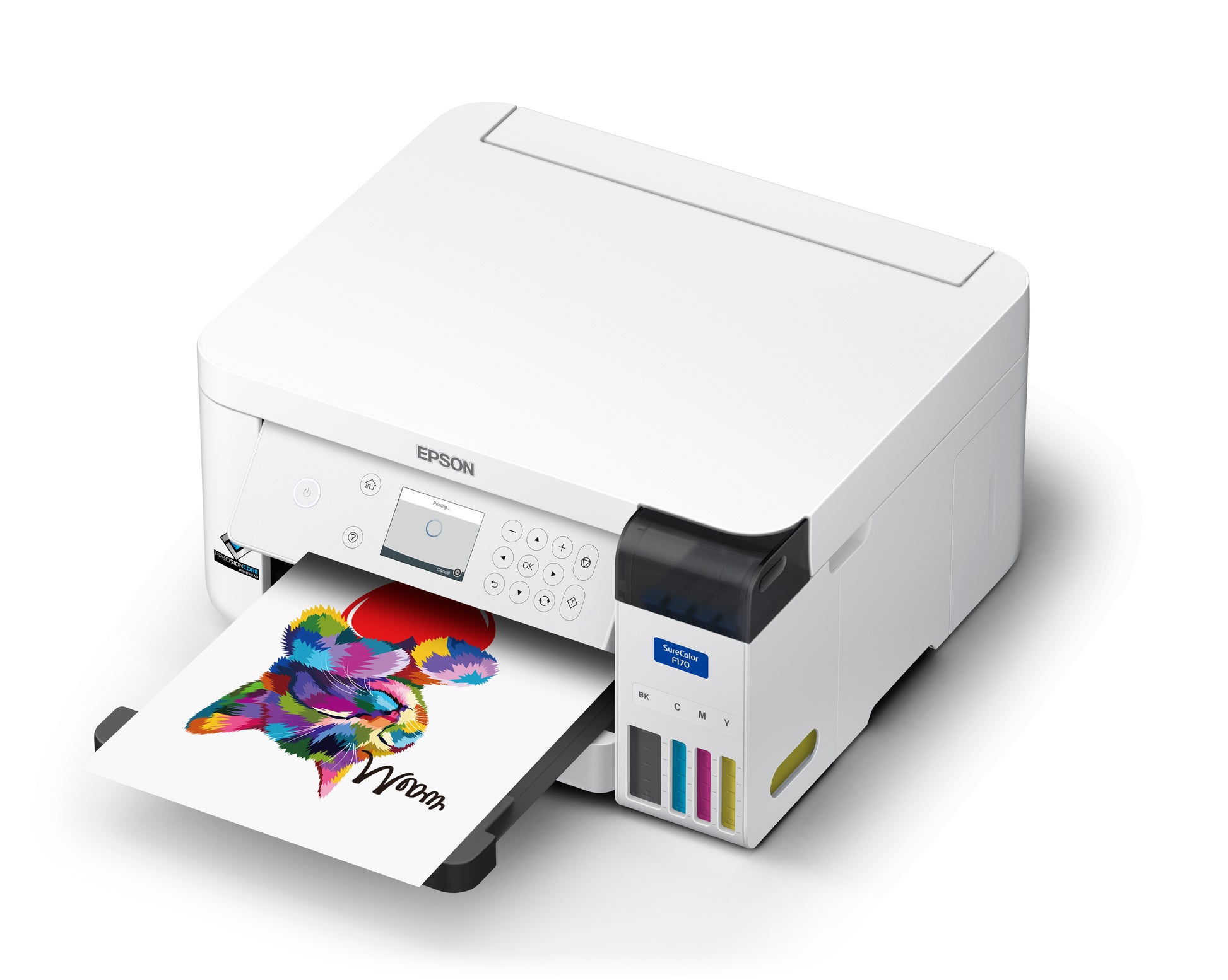 epson f170 printer
